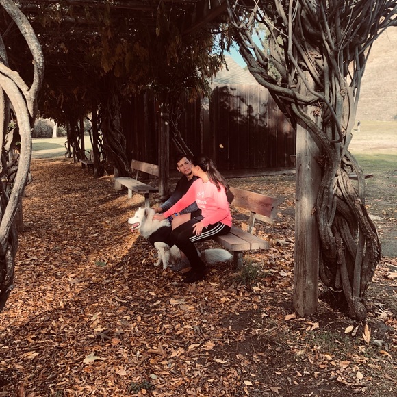 Meet your Posher, Lucy - Picture 3 of 3